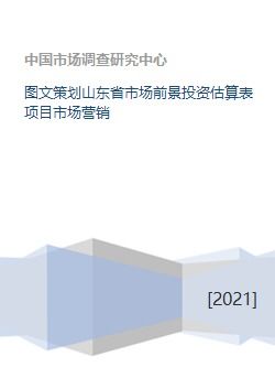 山東省市場前景與投資估算表項目市場營銷策劃